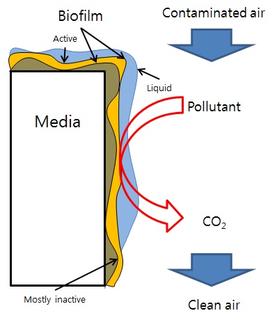 그림 3-122. 담체에 형성된 미생물막에 의한 악취제거