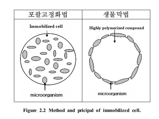 그림 1-4. 미생물 포괄고정화 담체의 개념