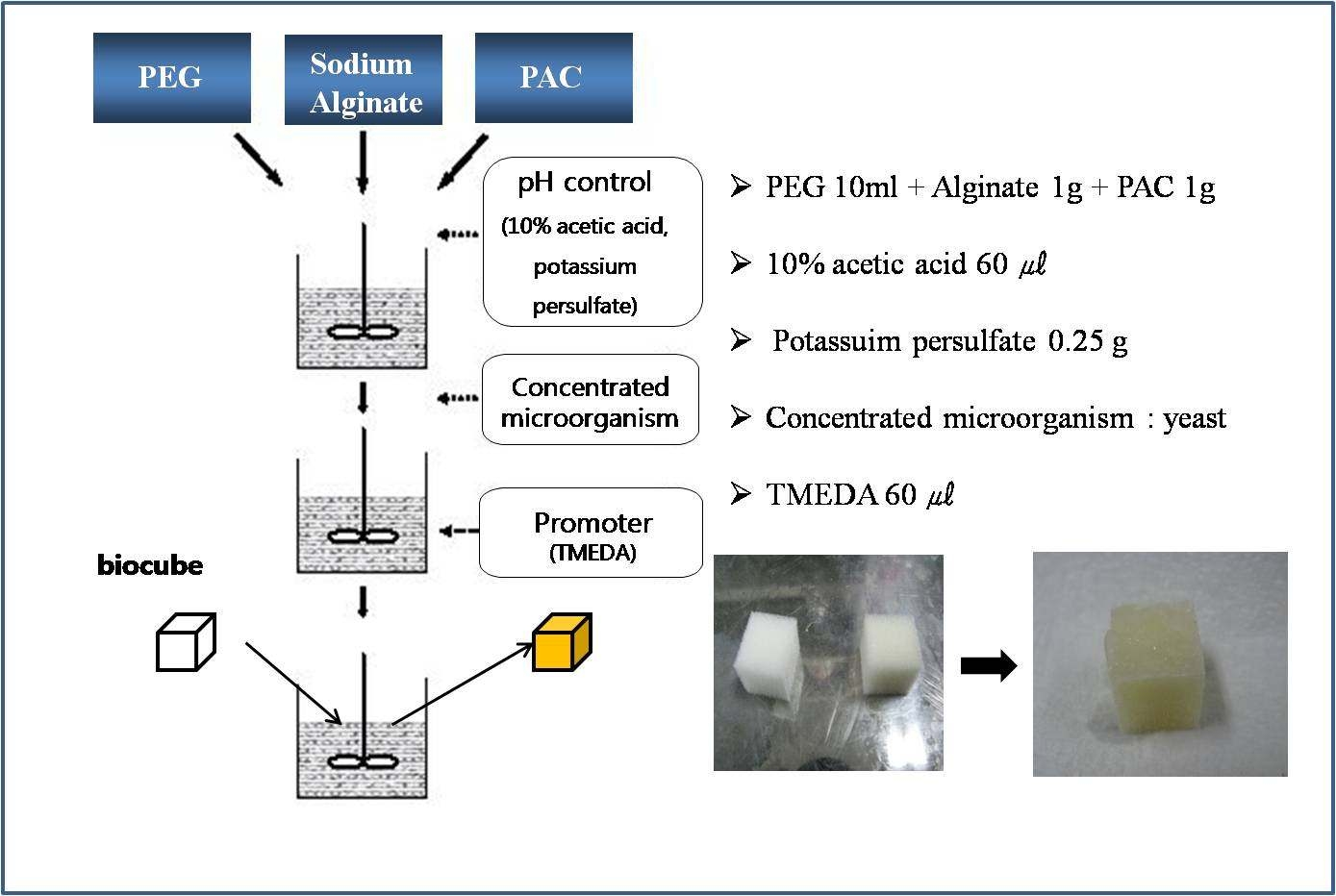 그림 3-2. PEG+alginate+PAC 담체 제조법