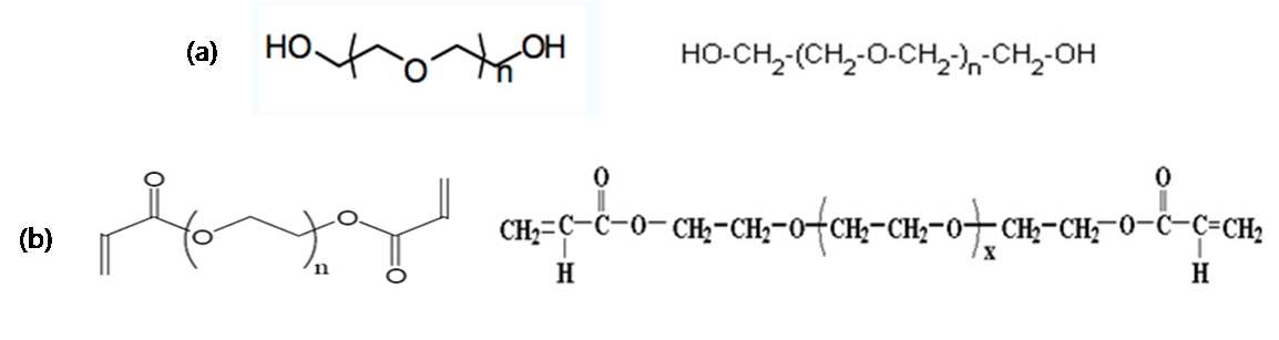 그림 3-3. PEG(a)와 PEGDA(b)의 분자 구조상의 차이점