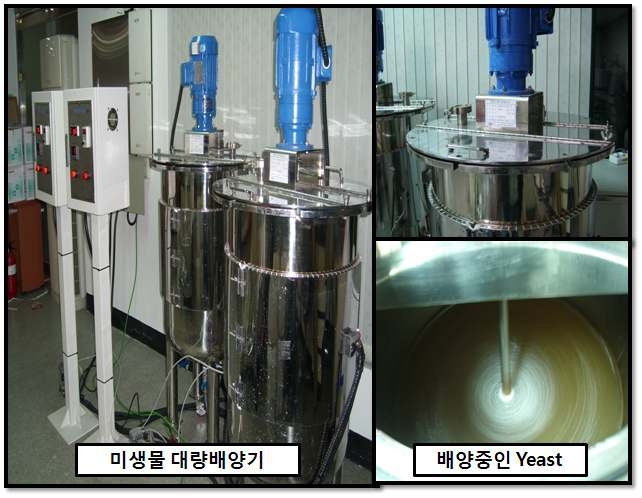 그림 3-9. 미생물 대량배양기 모습과 배양중인 yeast의 사진