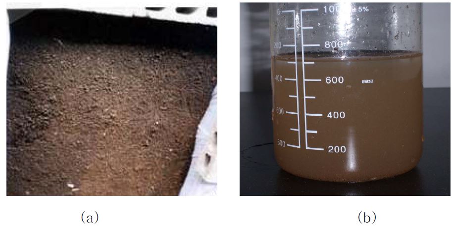 그림 3-13. (a) 분변토, (b) 분변토 추출액