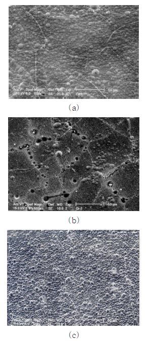 그림 3-20. SEM으로 관찰한 크롬도금층의 표면조직