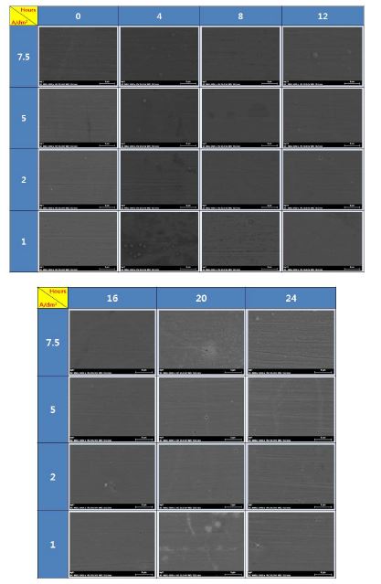 그림 3-40. 저전류 밀도 인가 시 연속 도금 시간별 크롬 도금 표면 형상 변화 (배율: x4000)
