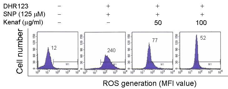 케나프 추출물의 농도 처리에 따른 ROS 활성 억제효과