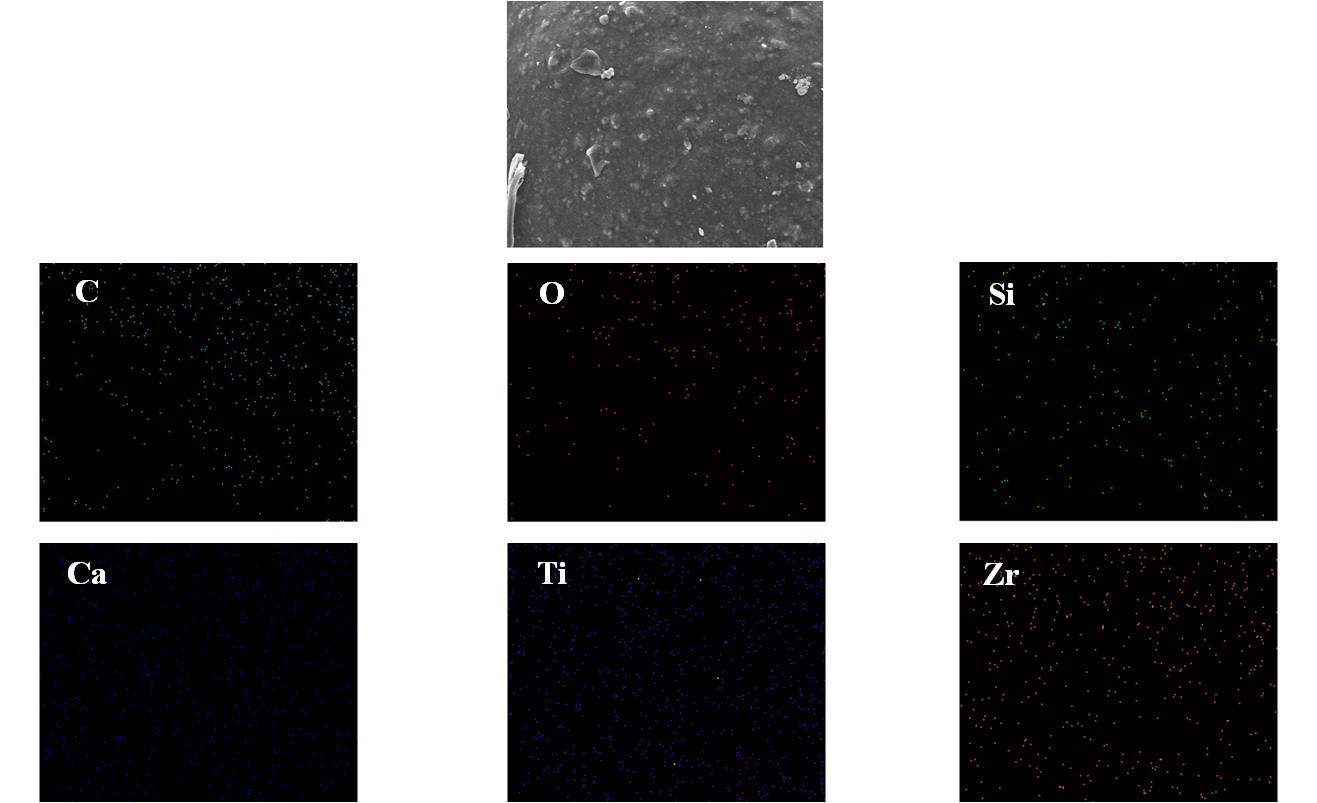 1차 시제품 벽지 EDX mapping를 통한 무기물의 분포도