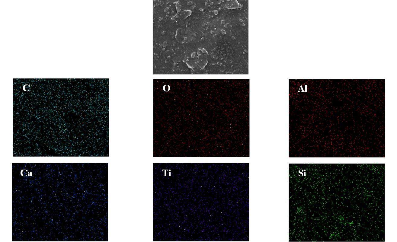 2차 시제품 벽지 EDX mapping를 통한 무기물의 분포도