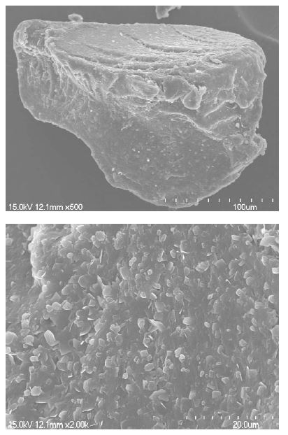 Processing filler 첨가된 FRPC의 SEM 분석