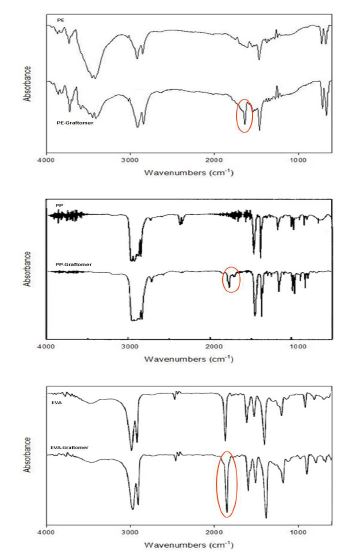 Graftomer 변성 전, 후에 따른 FT-IR 비교분석