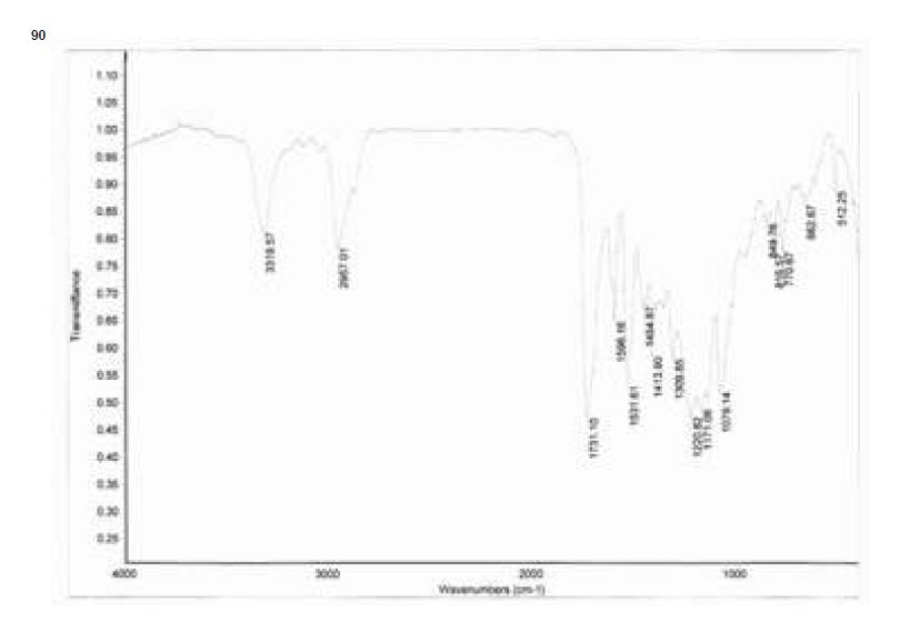 IR spectrum of PU-HS30