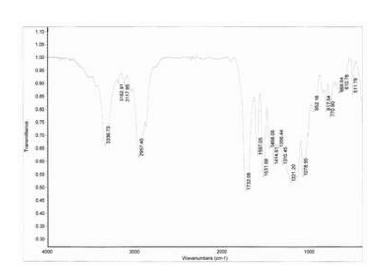 IR spectrum of PU-HS25