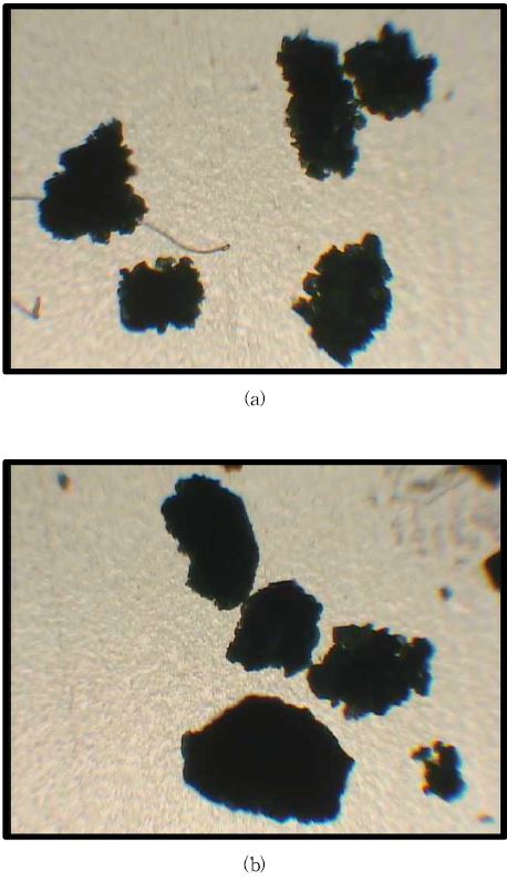 그림 3-38. Sizes and Shapes of the MIP particles prepared with different concentration of the HEC stabilizer ; (a) 5wt% and (b) 9wt%