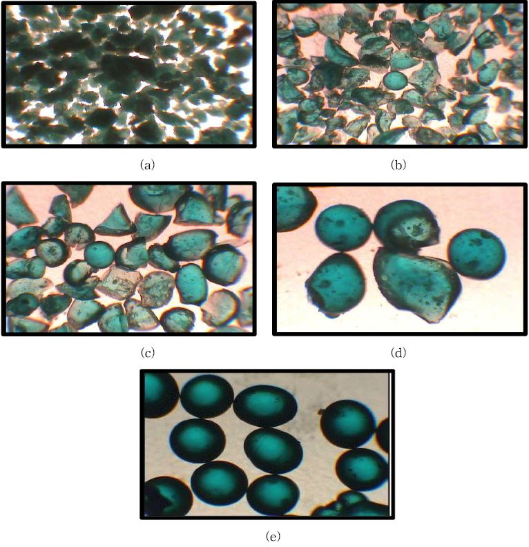 그림 3-41. Sizes and Shapes of the MIP particles prepared with different concentration of the HEC stabilizer ; (a) 2wt%, (b) 3wt%, (c) 5wt%, (d) 6wt% and (e) 7wt%