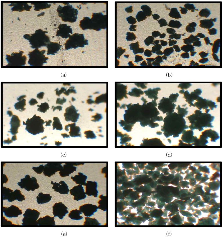 그림 3-43. Sizes and Shapes of the MIP particles prepared with different concentration of the HEC stabilizer; (a) 2wt%, (b) 3wt%, (c) 5wt%, (d) 7wt%, (e) 9wt% and (f) 10wt%