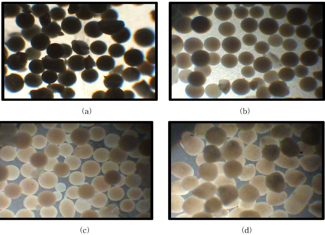 그림 3-49. Sizes and Shapes of the MIP particles prepared with S/M ratio ; (a) 14.2, (b) 7.1, (c) 4.7, and (d) 4.5