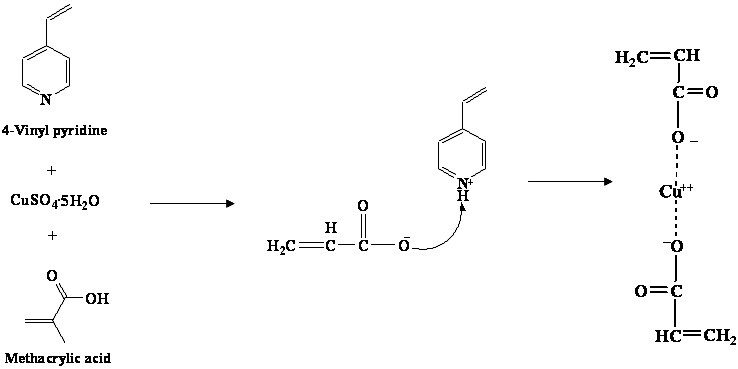 그림 3-77. The schematic representation of the complex formation between copper ion and functional monomers