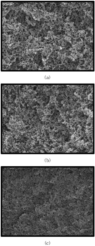 그림 3-79. Interior structure of Cu(Ⅱ)-MIIP prepared at different ratio of crossinking agent to functional monomer(C/M) ; (a)C/M=2, (b)C/M=3, and (c)C/M=4, respectively.
