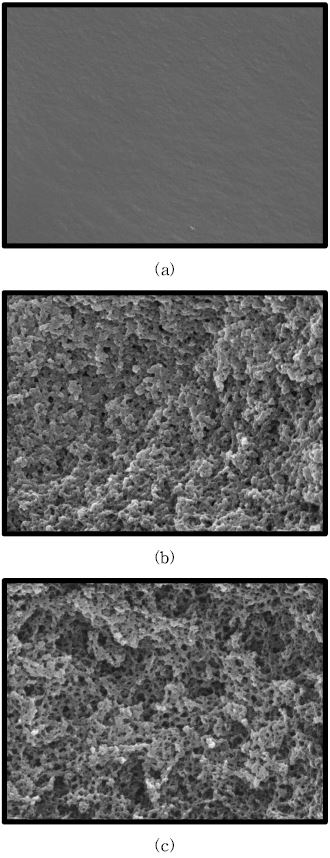 그림 3-90. Interior structure of Cu(Ⅱ)-MIP prepared at different ratio of toluene to reactant(T/R) ; (a)T/R=0, (b)T/R=1, and (c)T/R=2, respectively.