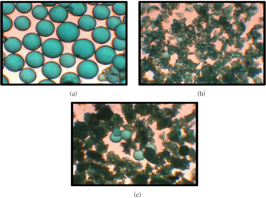 그림 3-95. Sizes and shapes of MIP beads prepared at different the ratio of PVA1500 to HEC ; (a) PVA1500 : HEC(1:1), (b) PVA1500 : HEC(2:1) and (b) PVA1500 : HEC(3:1)