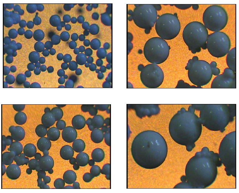 그림 3-106. Sizes and Shapes of Zn(Ⅱ)-MIP prepared at S/M 3.2