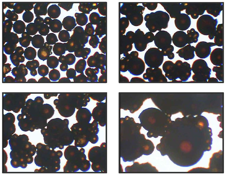 그림 3-110. Sizes and Shapes of Na-MIP prepared at S/M 3.3