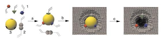 그림 1-1. Schematic representation of the molecular imprinting technique