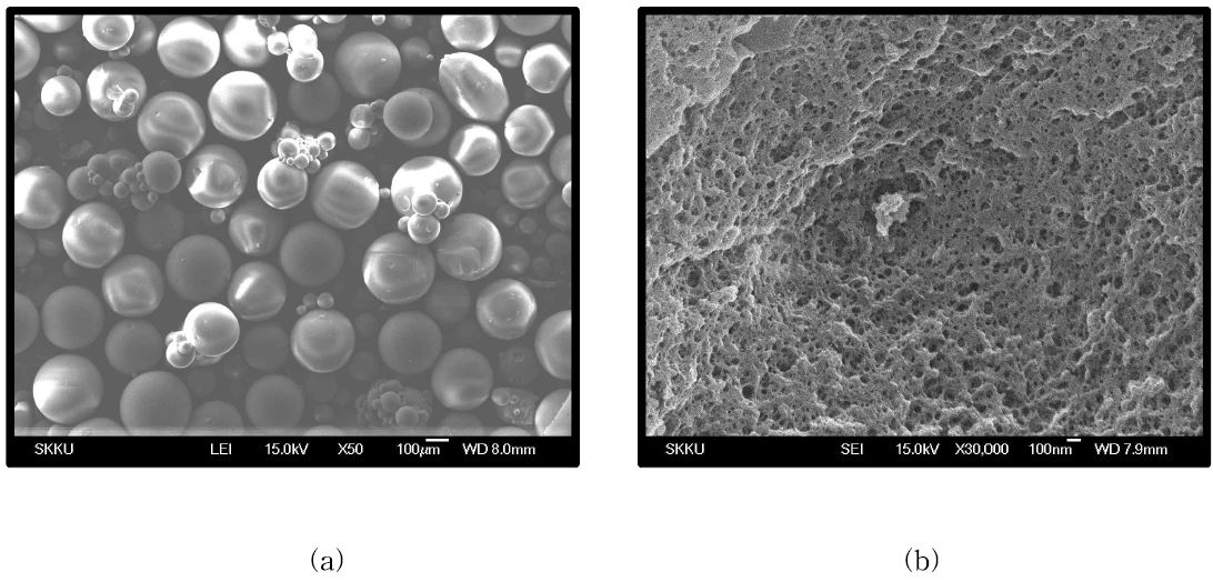 그림 3-7. SEM images of (a) exterior and (b) interior of Cu(Ⅱ)-MIP, respectively.