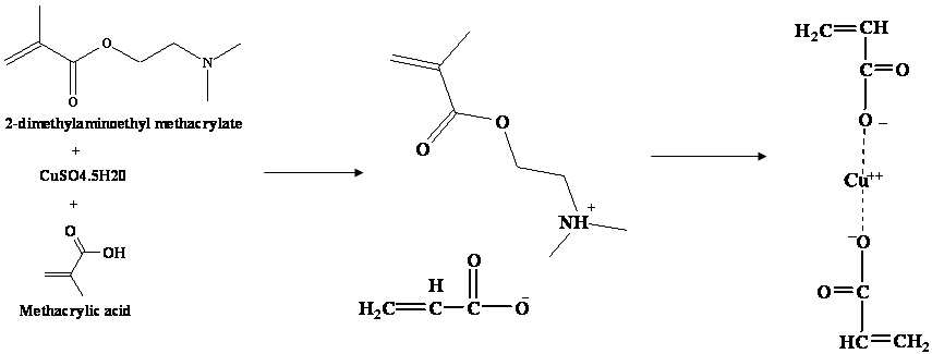 그림 3-16. The schematic representation of the complex formation between copper ion and functional monomers.