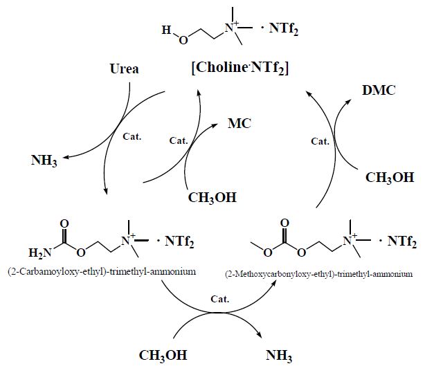 Fig. 2-14. Estimated reaction mechanism of using [Choline][NTf2] ionic liquid.