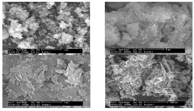 Fig. 1-7. Scanning electron magnification photography of various nano-particles.