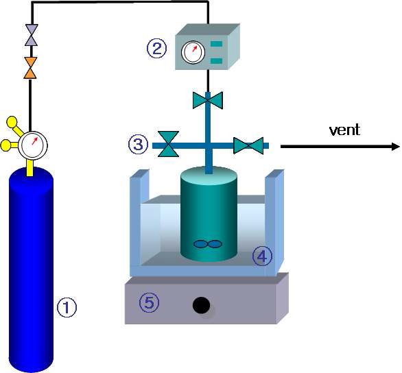 Fig. 1-17. Schematic diagram of experimental apparatus (batch reactor).