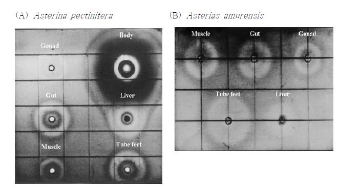 Fig. 3. Antimicrobial activity of various tissues' extracts against E . coli D31.