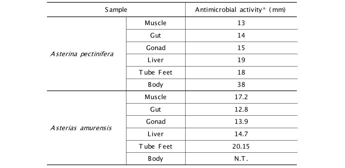 Antimicrobial activity of two starfish extracts against E. coli D31.