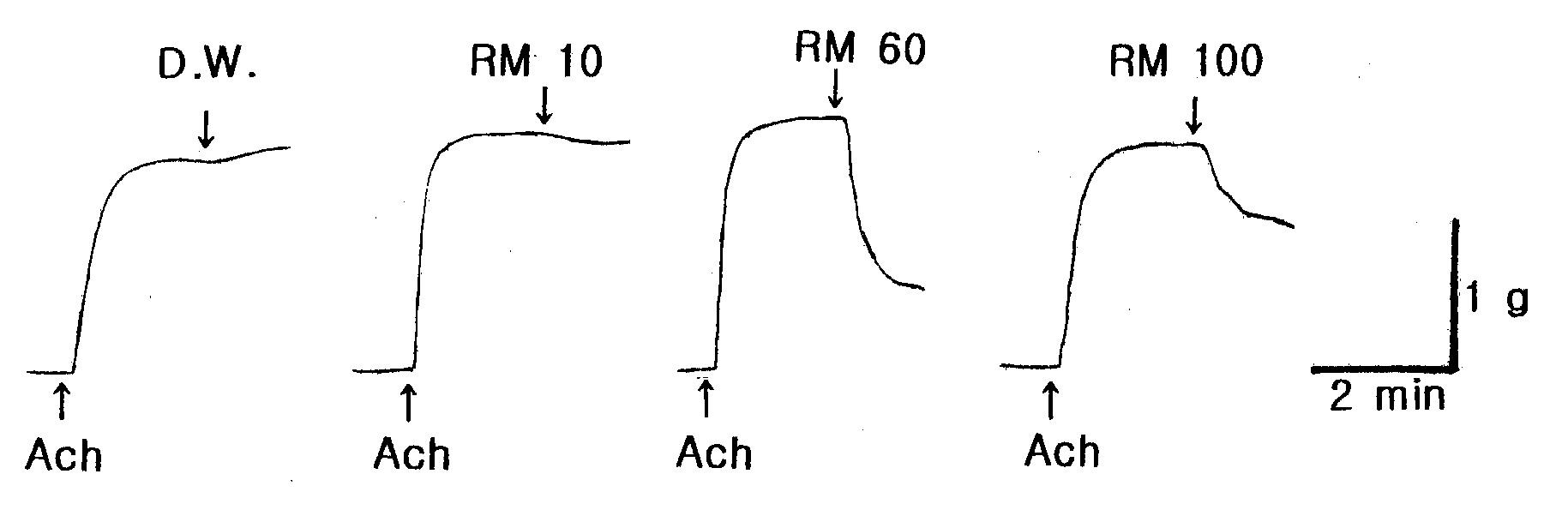 Fig. 4. Typical tracing illustrating the relaxing response of starfish (Asterina pectinifera) extracts. Each down arrow represents the sample applied to the starfish DRM. The precontraction was induced ACh, 5×10-7 M.