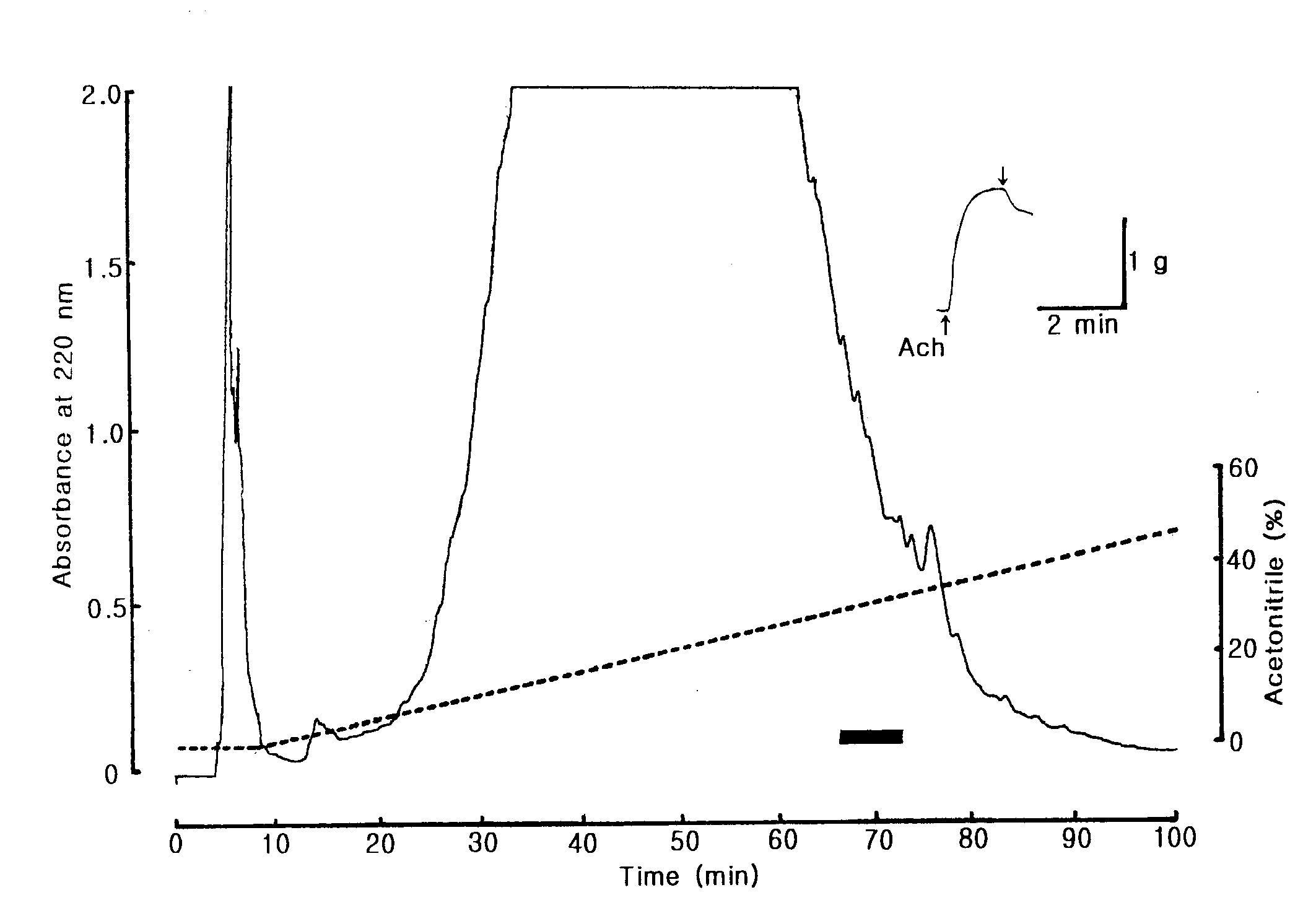 Fig. 6. Reverse-Phase HPLC profile of the active fraction A in Fig. 5. The fraction A in Fig. 5 was pooled and loaded onto Vydac C18 (9.2 × 250 mm) column and eluted with a linear gradient of CH3CN (dotted line) in 0.1 % TFA at flow rate of 3.0 mL/min. The black bar represents relaxing active fraction on the starfish DRM.