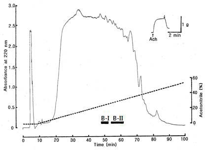 Fig. 11. Reverse-phase HPLC profile of the active fraction B in Fig. 5. The active fraction B in Fig. 5 was loaded onto Vydac C18 (9.2 × 250 mm) column and eluted with a linear gradient of CH3CN (dotted line) in 0.1 % TFA at flow rate of 3.0 mL/min. The black bar represents relaxing active fractions on the starfish DRM. The down arrow represents the sample applied to the starfish DRM.