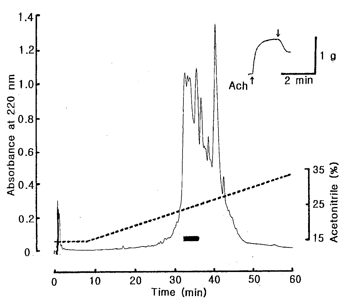 Fig. 13. Reverse-phase HPLC profile of the active fraction in Fig. 12. The active fraction in Fig. 12 was loaded onto Hypersil-BDS C18 (2 × 125 mm) column and eluted with a linear gradient of CH3CN (dotted line) in 0.1 % TFA at flow rate of 0.5 mL/min. The black bar represents relaxing active peak on the starfish DRM.