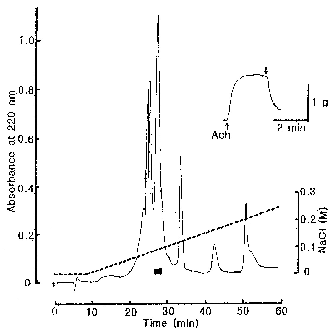 Fig. 14 Anion-exchange HPLC profile of the active fraction in Fig. 13. The active fraction in Fig. 13 was pooled and loaded onto DEAE-5PW (7.5 × 75 mm) column and eluted with a linear gradient of 1.0 M NaCl (dotted line) in 10 mM Tris-HCl buffer (pH 9.2) at flow rate of 0.5 mL/min. The black bar represents relaxing active fractions on the starfish DRM.