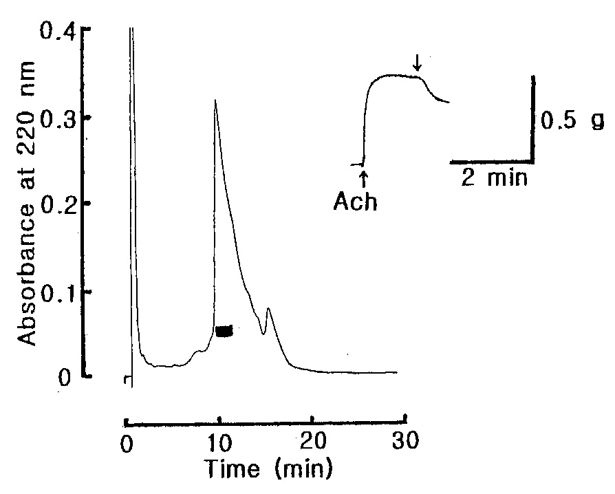 Fig. 15. Reverse-phase HPLC chromatography of the active fraction in Fig. 14. The active fraction in Fig. 14 was pooled and loaded onto Hypersil BDS C18 (2 × 125 mm) column and eluted with isocratically 23 % CH3CN in 0.1 % TFA at flow rate of 0.5 mL/min. The black bar represents relaxing active fractions on the starfish DRM.