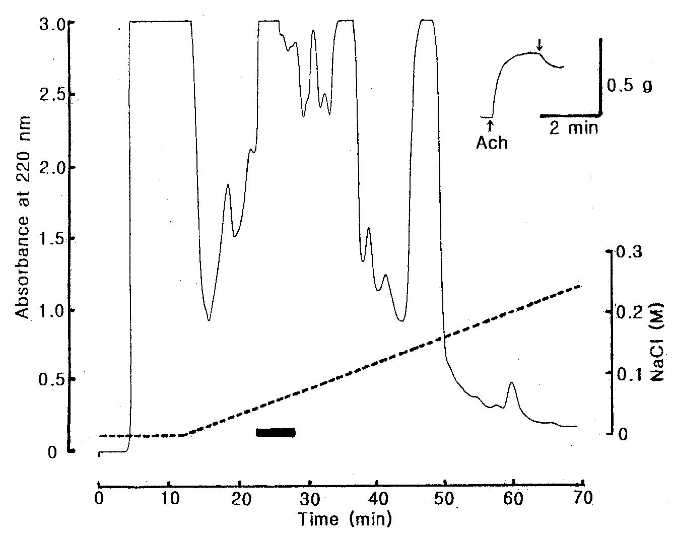 Fig. 17. Anion exchange HPLC profile of the active fraction B-I in Fig. 11. The active fraction B-I in Fig. 11 was loaded onto DEAE-5PW (7.5 × 75 mm) column and eluted with a linear gradient of 1.0 M NaCl (dotted line) in 10 mM Tris-HCl buffer (pH 9.2) at flow rate of 0.5 mL/min. The black bar represents relaxing active fractions on the starfish DRM.