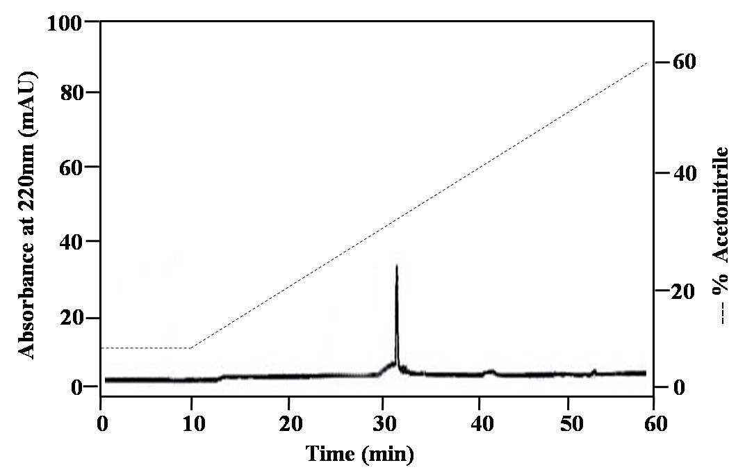 Fig. 23. The final purification of SFM-I on a Capcell-Pak C18 column. Active fraction was eluted with a linear gradient of 10% ~ 10% B (10 min) → 60% B (50 min) CH3CN in 0.1 % TFA (pH 2.2) at a flow rate of 1.0 ml/min. The fraction shows antimicrobial activity against B. subtilis KCTC 1021.