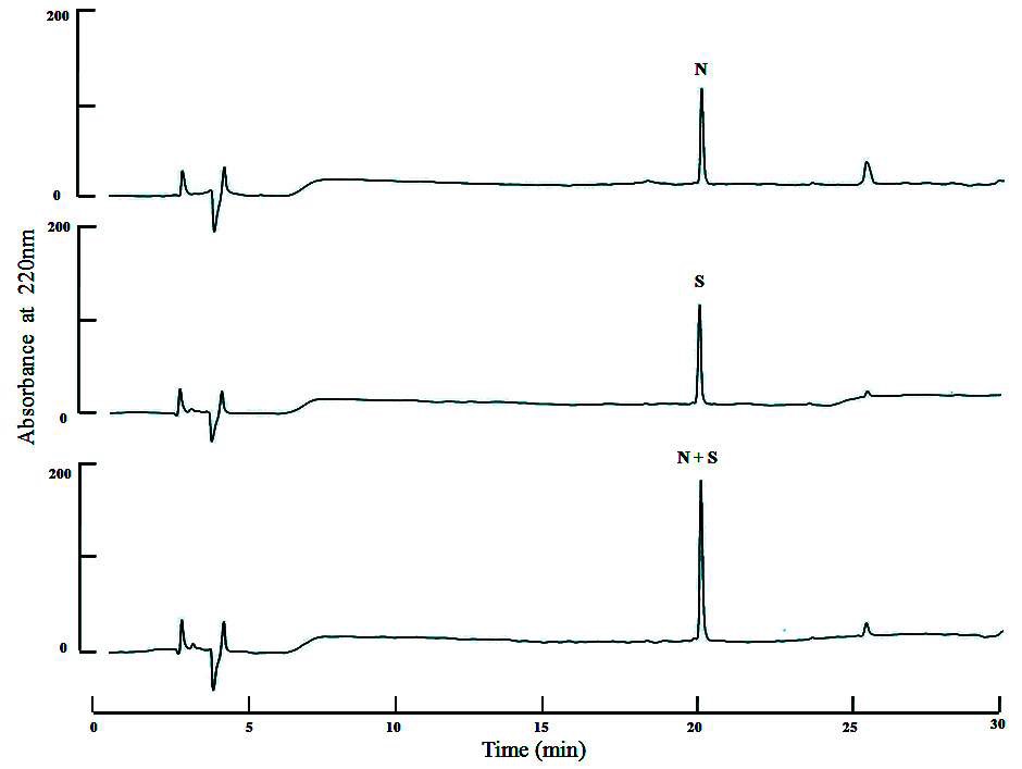 Fig. 25. A comparison between HPLC profiles of the native SF-CNP (N) and synthetic SF-CNP (S). N and S were injected to a C18 reverse-phase (μ- Bondapak C18 column) column with a linear gradient CH3CN concentrations from 0 to 60 % in 0.1 % TFA for 30 min at a flow rate of 1 ml/min. N+S represents a mixture of the native and synthetic peptide.