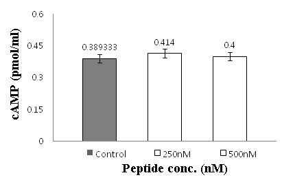 Fig. 32. Measurement of intracellular cAMP concentration in MDA-MB-231 cells were incubated with SF-CT 250 nM (0.25㎕/㎖), 500 nM (0.5㎕/㎖) added to the cells and incubation for 30 min in 37 ℃, 5 % CO2 condition