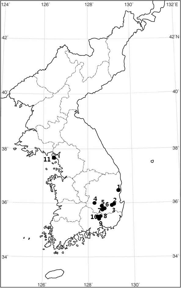 한국산 물여뀌 종집단(Polygonum amphibium complex)의 채집지(대여표본포함).