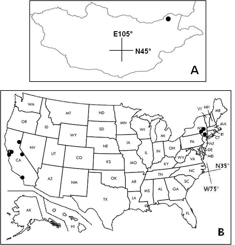 몽골(A) 및 북미(B)의 물여뀌 종집단(Polygonum amphibium complex)의 채집지.