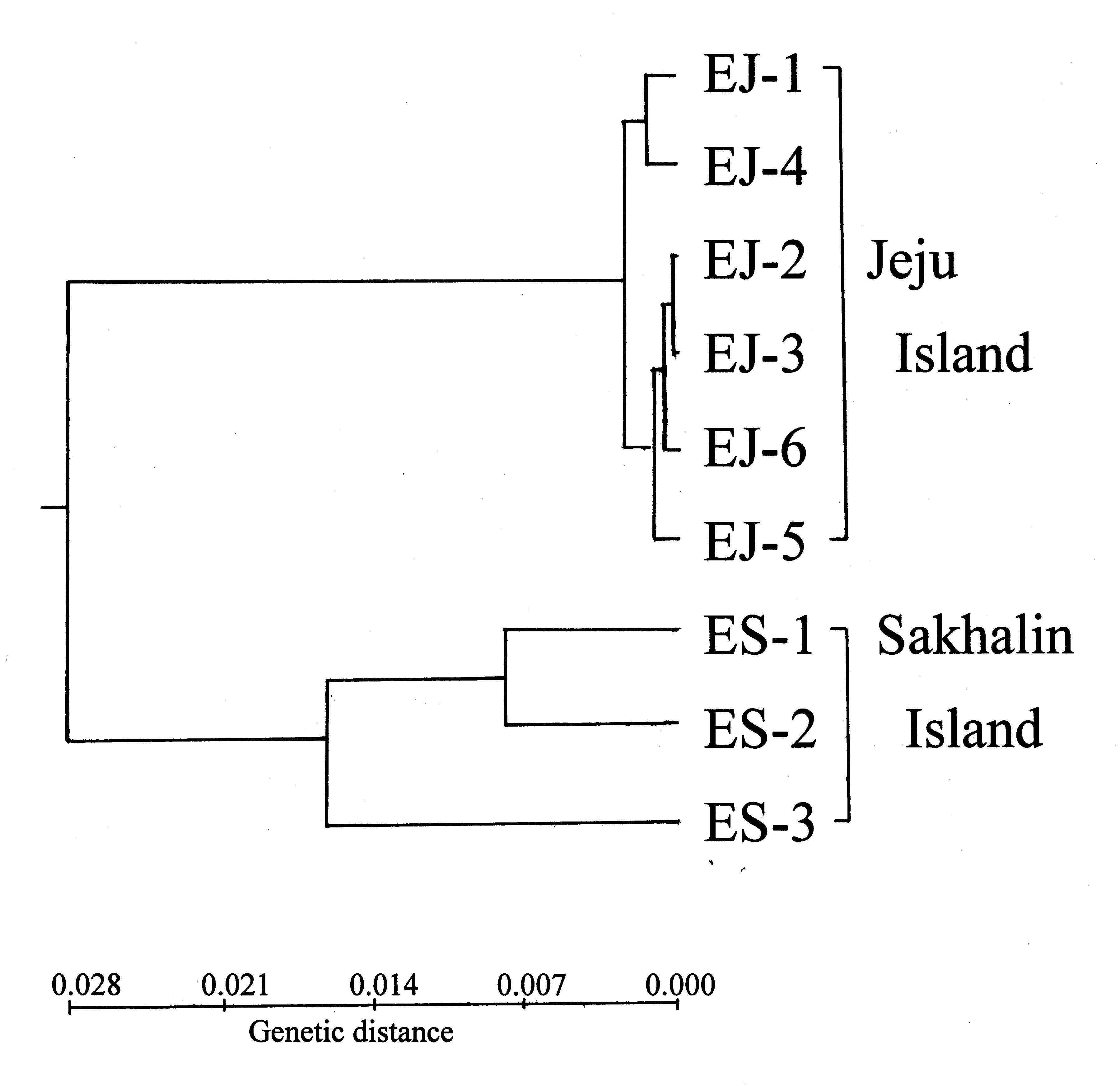 시로미 9곳 집단을 대상으로 Nei’s(1978) 유전적거리(genetic distance) 계수에 근거하여 UPGMA방법에 의한 전형질도(phenogram).