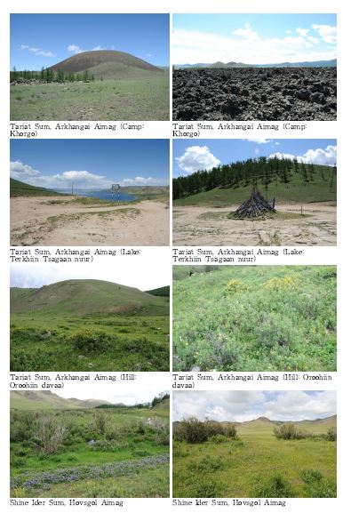 그림 9. 몽골 울란바타르에서 흡수골 지역의 세부조사 지점 전경