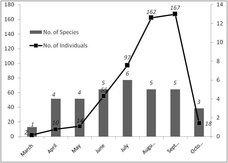 Figure 37. Monthly variation for number of species and individuals in the survey bridge