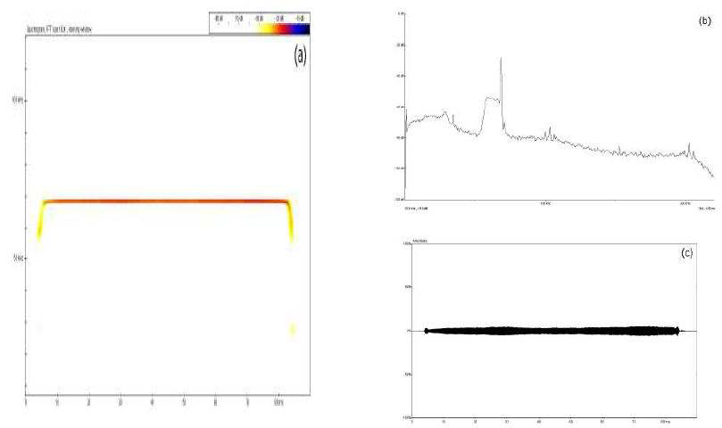 Figure 41. Spectrogram(a), power spectrum(b) and oscillogram(c) of single echolocation call of R. ferrumequinum in flight.