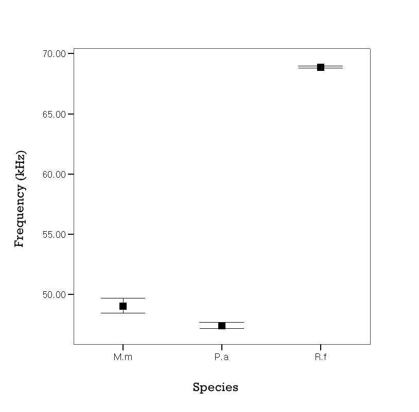 Figure 42. Peak-frequency of three species in flight. Simbols indicate means. Error bars indicate 95% confidence interval. Species: R.f, Rhinolophus ferrumequinum P.a,Pipistrellus abramus M.m, Myotis macrodactylus.